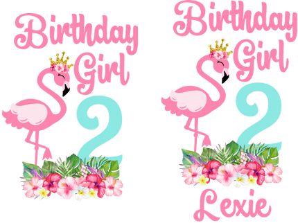 (s110-3E) Birthday Girl Name Age Flamingo Custom Text
