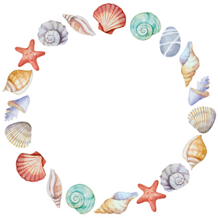 (s111-2A) Seashell Sea Shell Frame