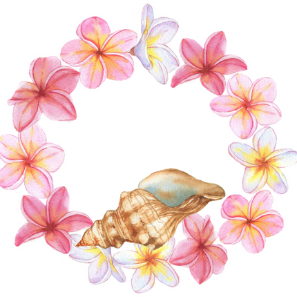 (s111-2B) Seashell Sea Shell Plumeria Flowers Frame