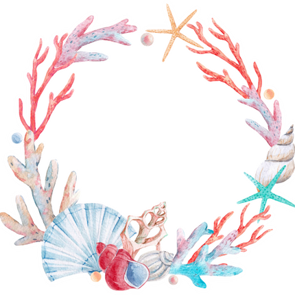 (s111-2C) Seashell Sea Shell Frame