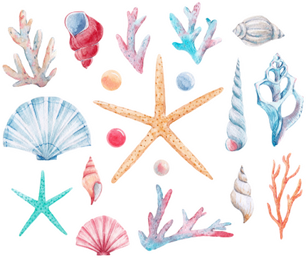 (s111-R) Watercolor Sea Shells Coral Sheet