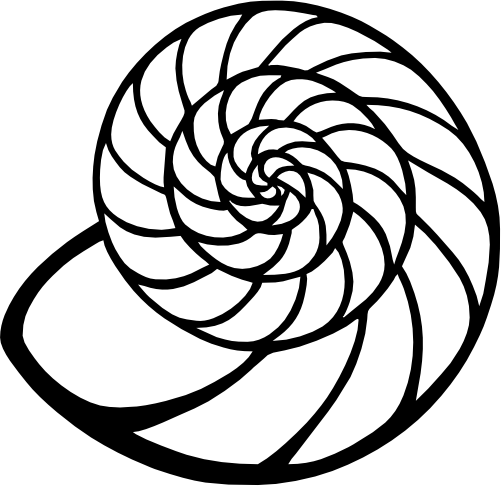 (s111-N) Sea Shell