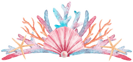 (s111-N) Watercolor Sea Shells Coral