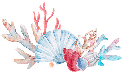 (s111-O) Watercolor Sea Shells Coral