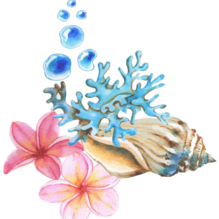 (s111-P) Watercolor Sea Shells Coral