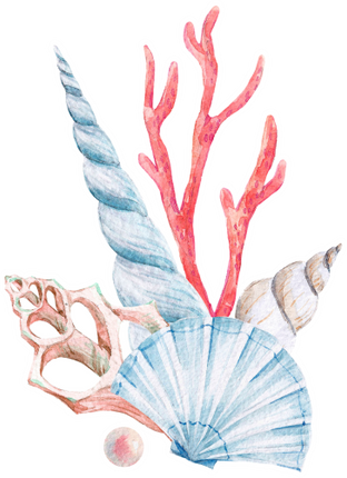 (s111-Q) Watercolor Sea Shells Coral