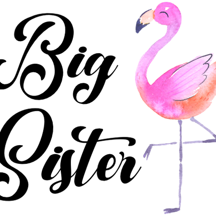 (112-03-A) Family Custom Text Watercolor Flamingo