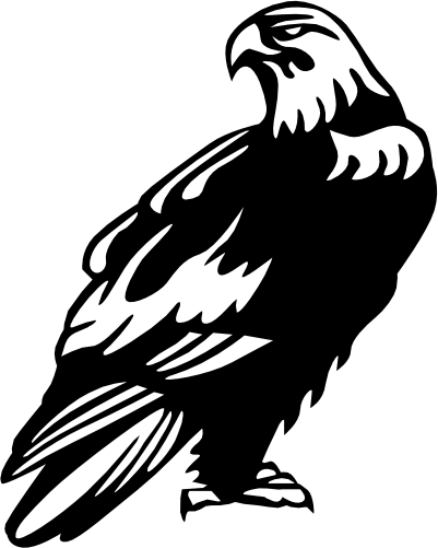(s129-D) Eagle