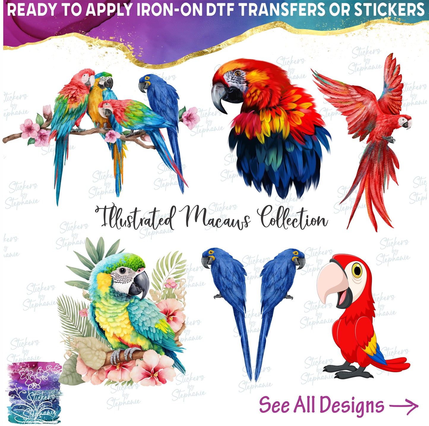 (s142) Watercolor Illustrated Cartoon Macaw Collection 35+ Styles
