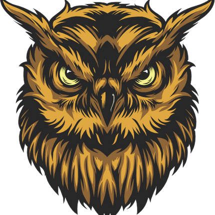 (s145-01-1E) Owl Mascot
