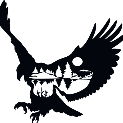 (s192-H2) Eagle Double Exposure