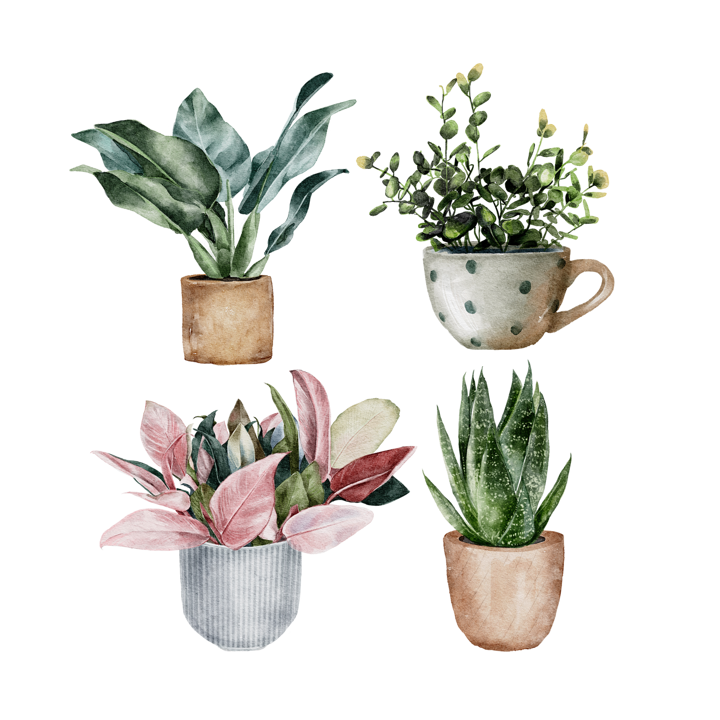 (s196) Set of 4 Watercolor Houseplants