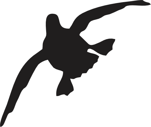 (s202-D) Duck Silhouette