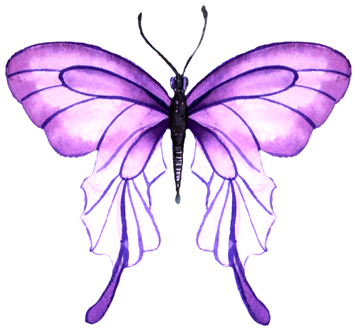 (s024-2U) Purple Butterfly