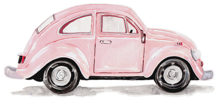 (260-5) Pink Beetle Car