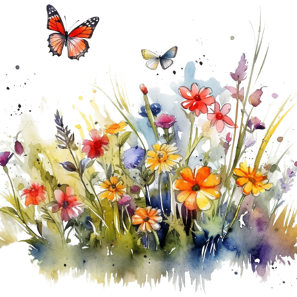 (272-02-1) Wildflowers