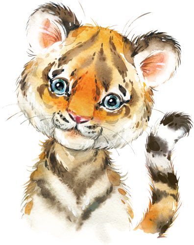 (s313-1-2I) Baby Tiger