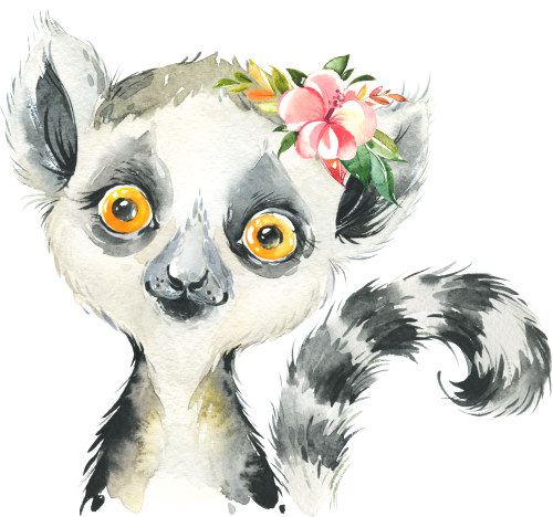 (s313-1-1Y-41) Baby Lemur Flowers