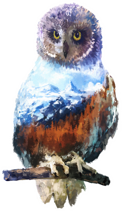 (s324-1-I) Owl  Double Exposure
