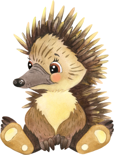 (s330-5-B) Echidna