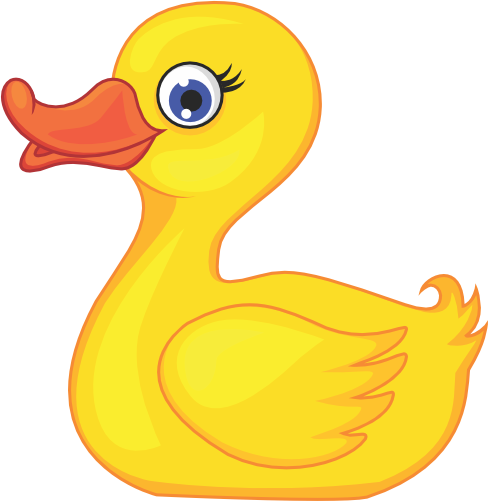 (s337-7-2L) Duck
