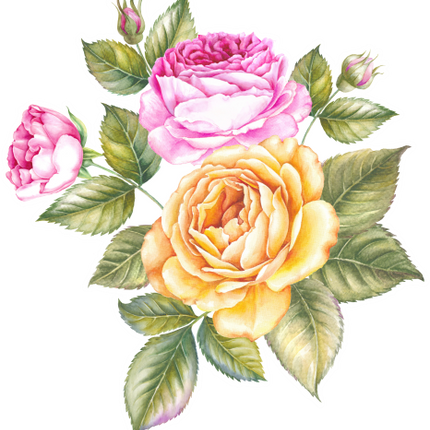 (396-01) Roses Rose Bouquets Watercolor Flowers