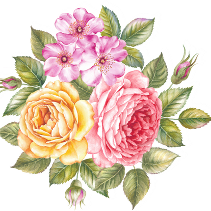 (396-01) Roses Rose Bouquets Watercolor Flowers