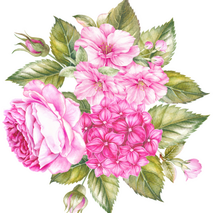 (396-01) Pink Roses Hydrangeas Watercolor Flowers