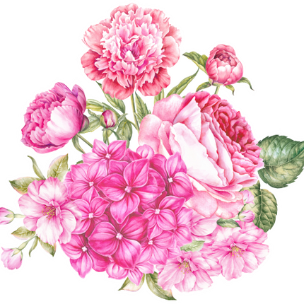 (396-01) Pink Roses Hydrangeas Watercolor Flowers