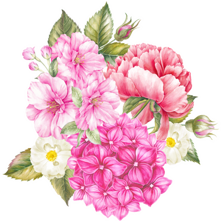 (396-01) Pink Roses Hydrangeas Watercolor Flowers
