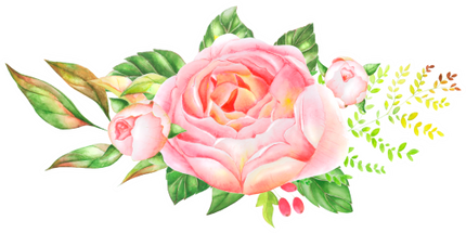 (396-02) Pink Yellow Roses Butterflies Watercolor Flowers