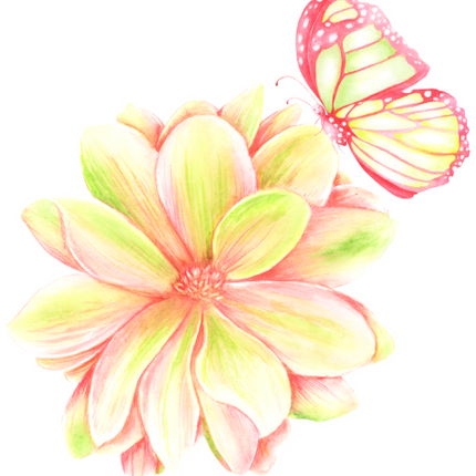 (396-02) Pink Yellow Roses Butterflies Watercolor Flowers