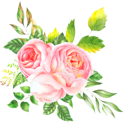 (396-02) Pink Yellow Roses Butterflies Watercolor Flowers