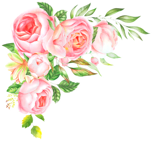 (s396-2-H) Pink Yellow Roses Watercolor Flowers