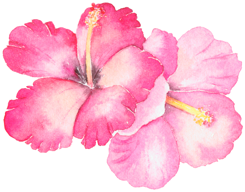 (407-02) Single Hibiscus Flower