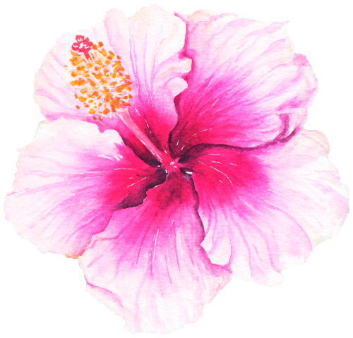 (407-02) Tropical Flowers