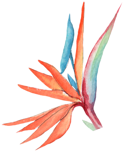 (407-02-1F) Bird of Paradise