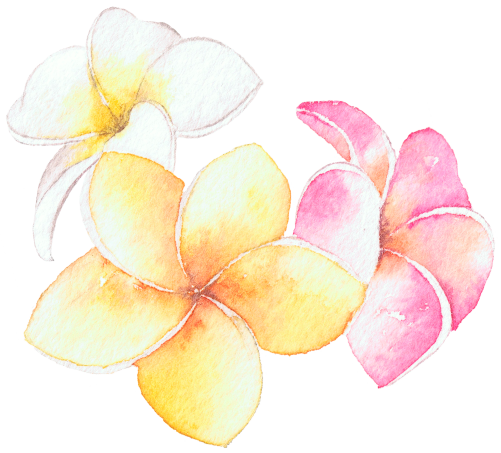 (407-02) Plumeria