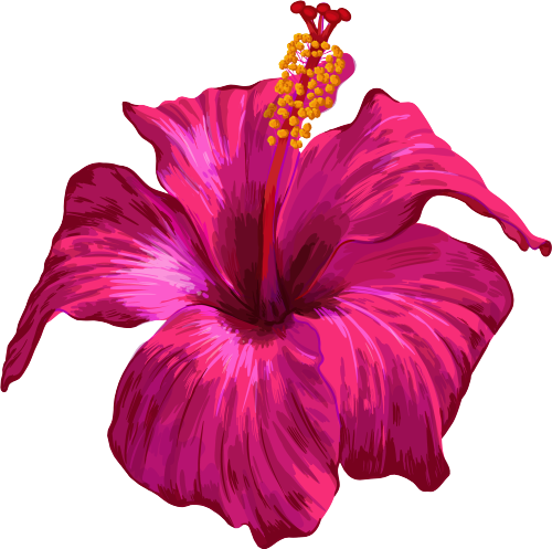 (407-02) Pink Hibiscus Flower