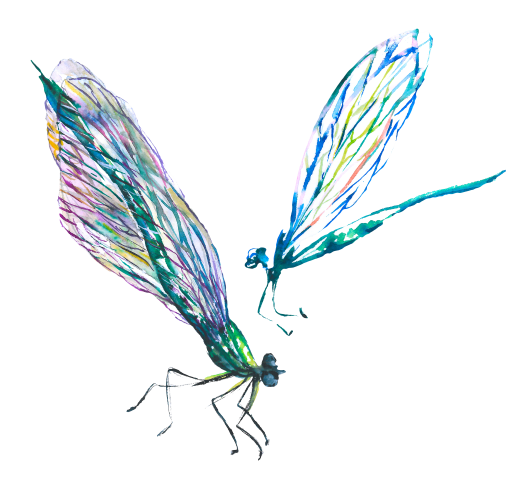 (s007-3D) Dragonfly