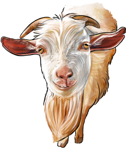 (s098-7-1Q) Goat