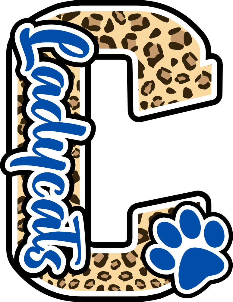 (s123-10) Ladycats Paw Print Letter Custom Text Name