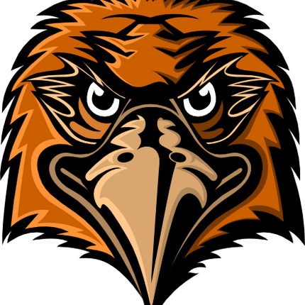 (s145-01-3E) Hawk Mascot