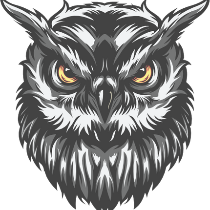 (s145-01-1E) Owl Mascot