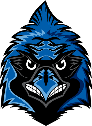(s145-01-3G) Blue Jay Mascot