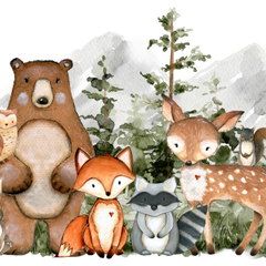 Collection image for: Forest/Woodland