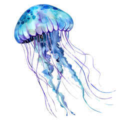 Collection image for: Ocean/Water