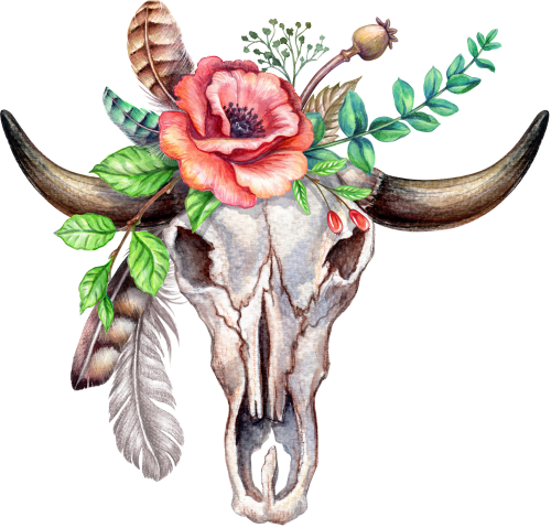 (s010-D) Cow Skull Red Poppy Flowers