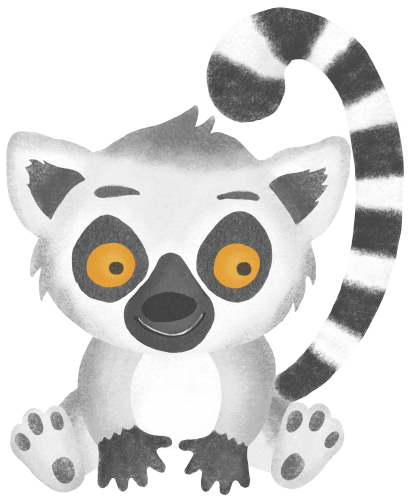 (s102-1-I) Baby Ring Tail Lemur Sitting