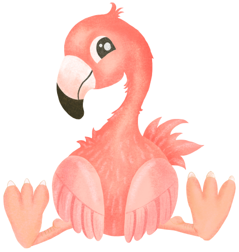 (s102-1-N) Flamingo
